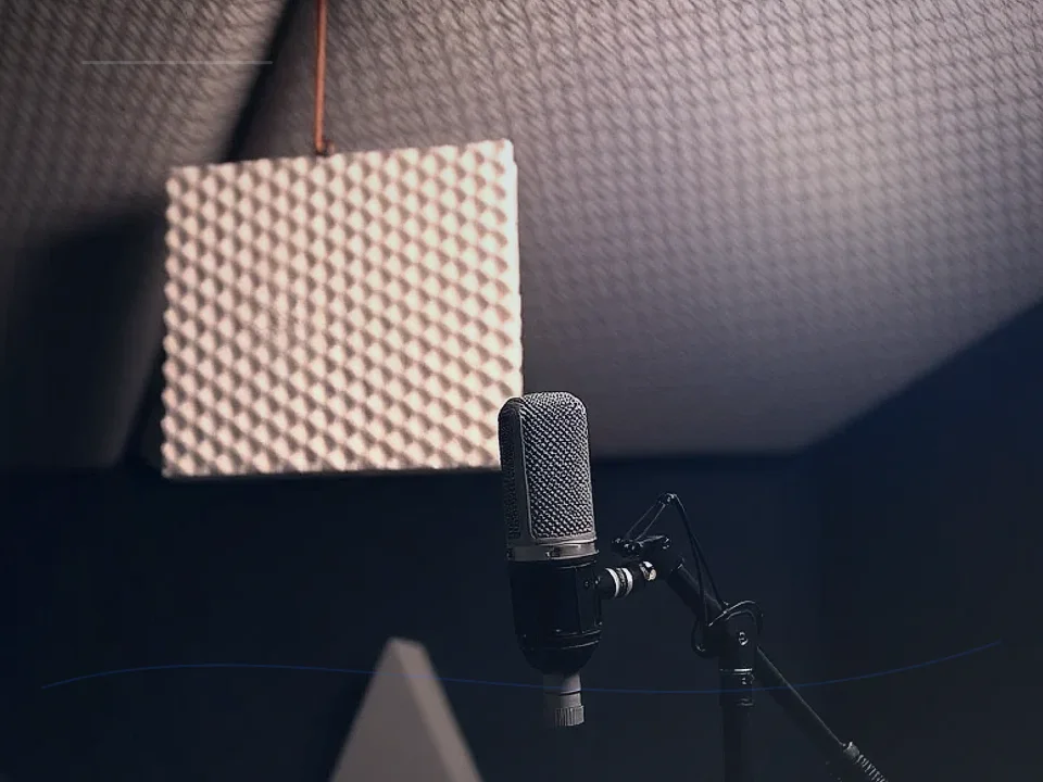 Acoustic Chamber Application Case for Reverberation Room 画像 2